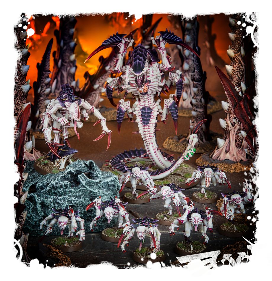 WARHAMMER 40K TYRANID: TRYGON/MAWLOC-1585480497.jpg