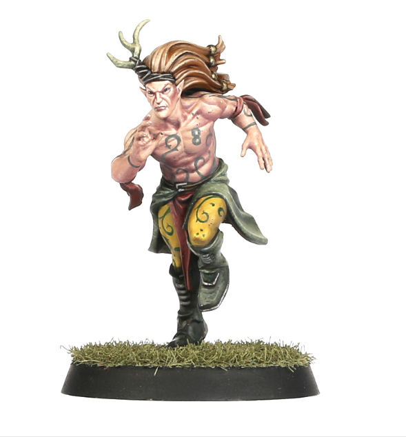 WARHAMAMER BLOOD BOWL: WOOD ELF TEAM-1593700318.png