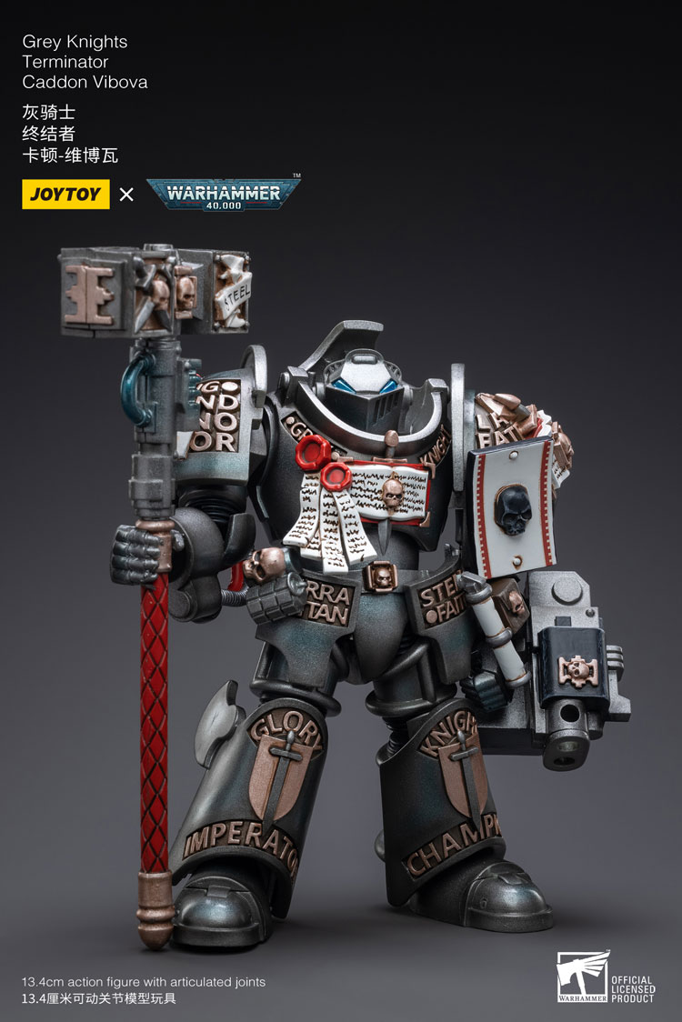 [JoyToy] Grey Knights Terminator Caddon Vibova JT3228-1683900767.jpg