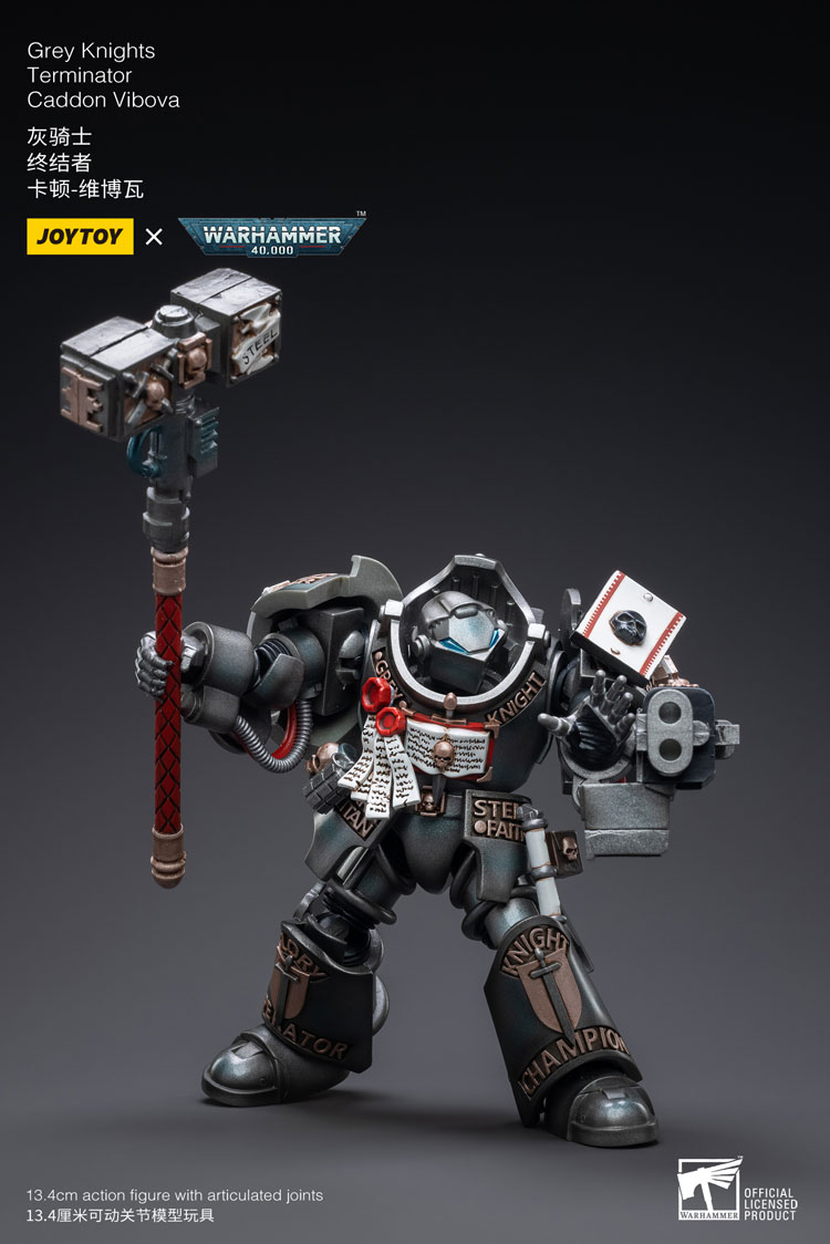 [JoyToy] Grey Knights Terminator Caddon Vibova JT3228-1683900768.jpg