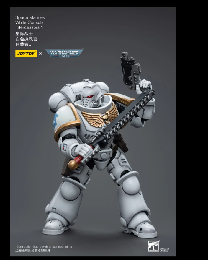 (JOYTOY) Space Marines White Consuls Intercessors 1 JT6847-1697271389.png