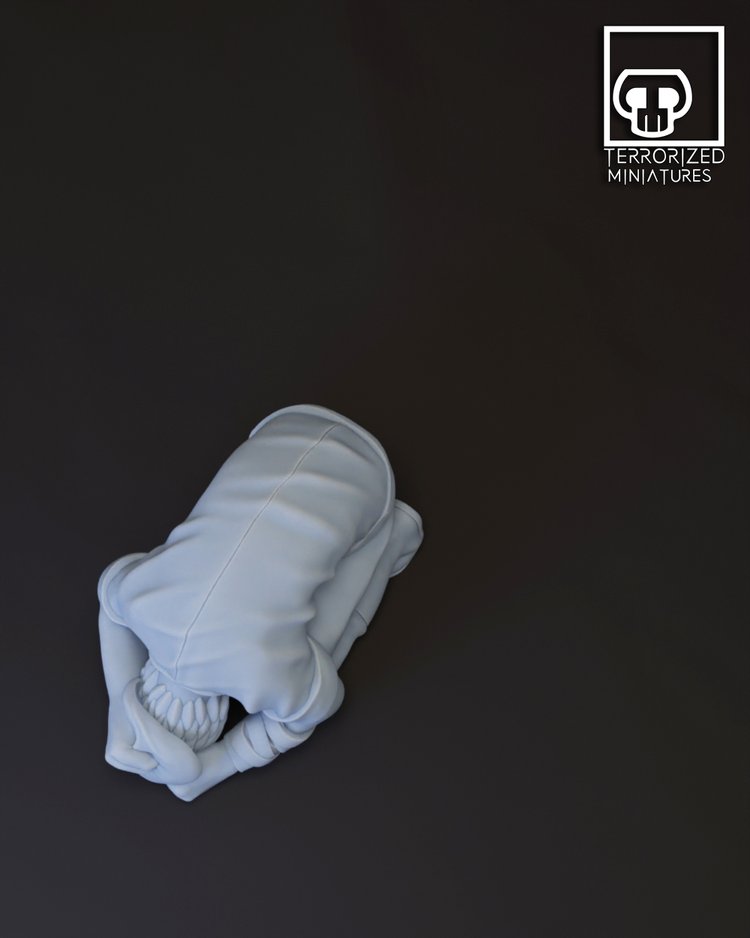 [Terrorized miniatures] Lovecraftian 110 : PADDY-1701439621.jpg