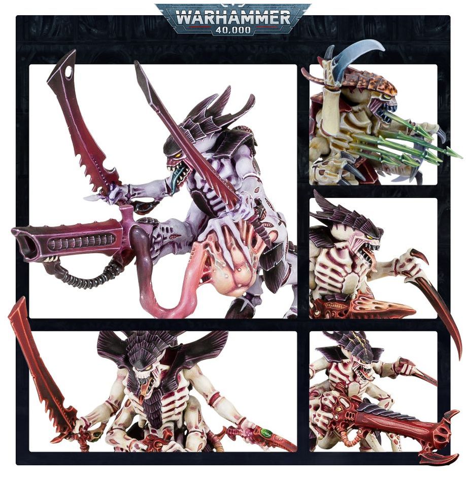 WARHAMMER 40K TYRANIDS: WARRIORS-1705062613.jpg