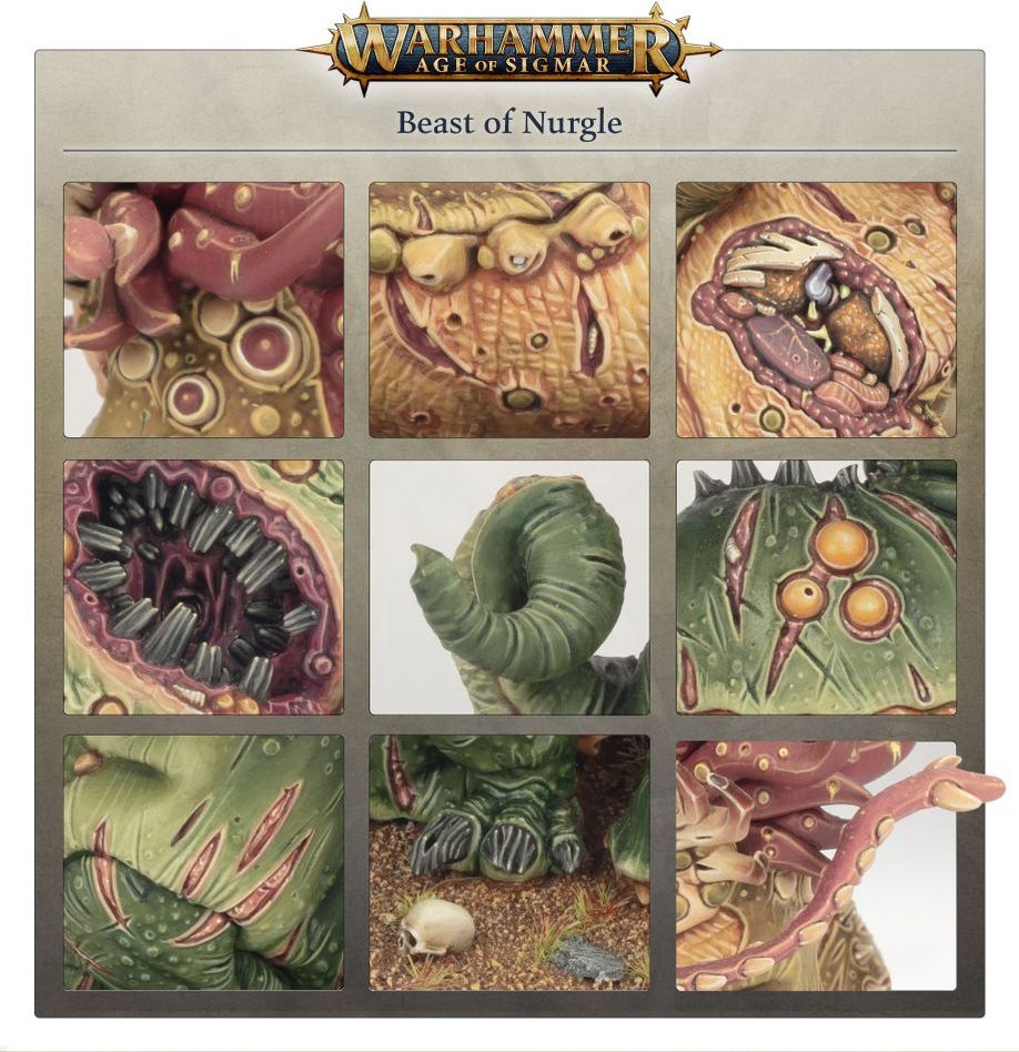 WARHAMMER AOS MAGGOTKIN OF NURGLE: BEAST OF NURGLE-1705072358.jpg