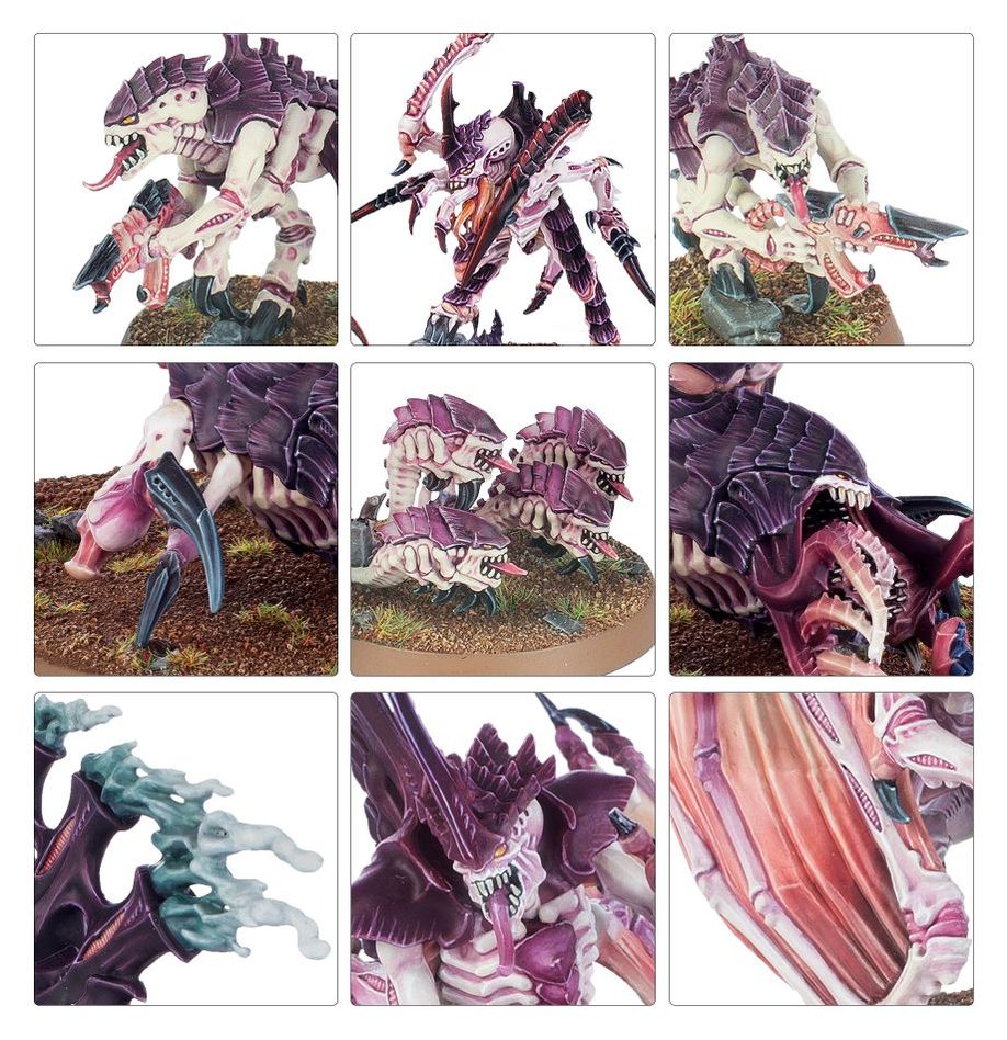 WARHAMMER 40K COMBAT PATROL: TYRANIDS-1705413807.jpg