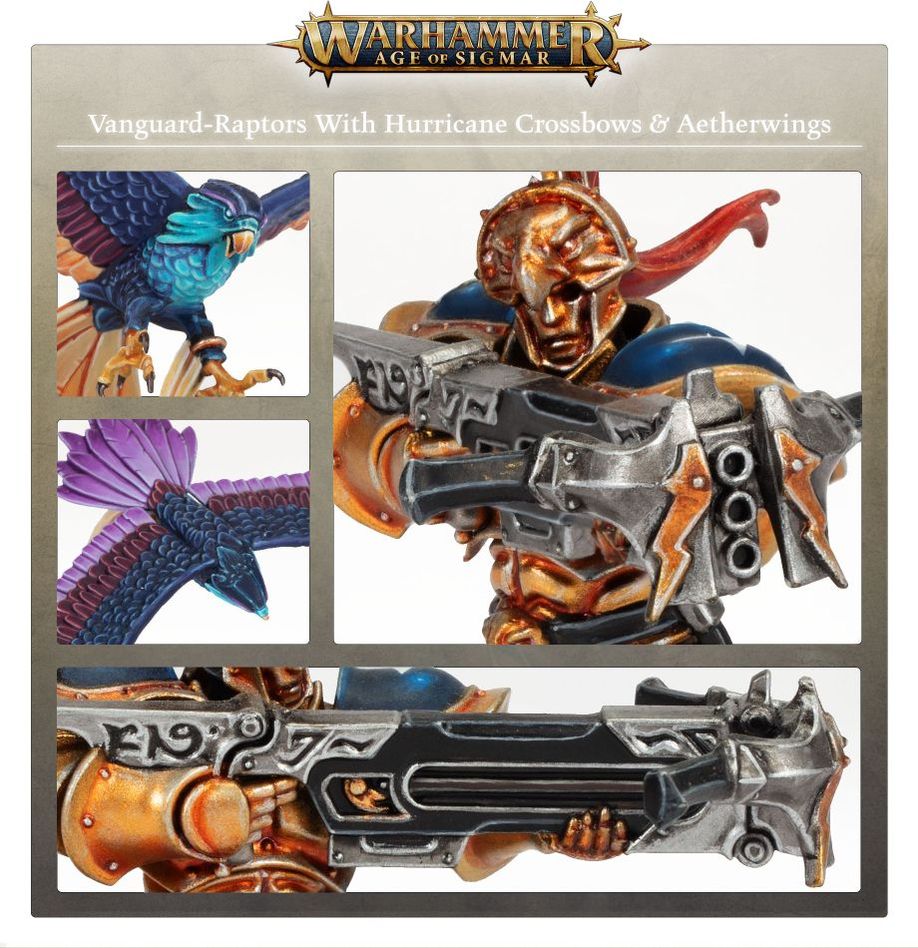 WARHAMMER AOS STORMCAST ETERNALS: VANGUARD-RAPTORS-1706463638.jpg