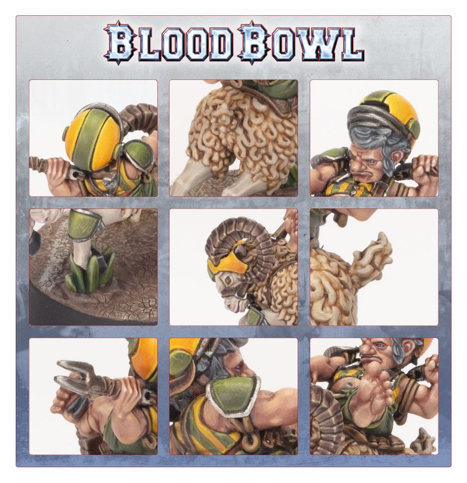WARHAMAMER BLOOD BOWL: RUMBELOW SHEEPSKIN-1709394563-CuiIH.jpg