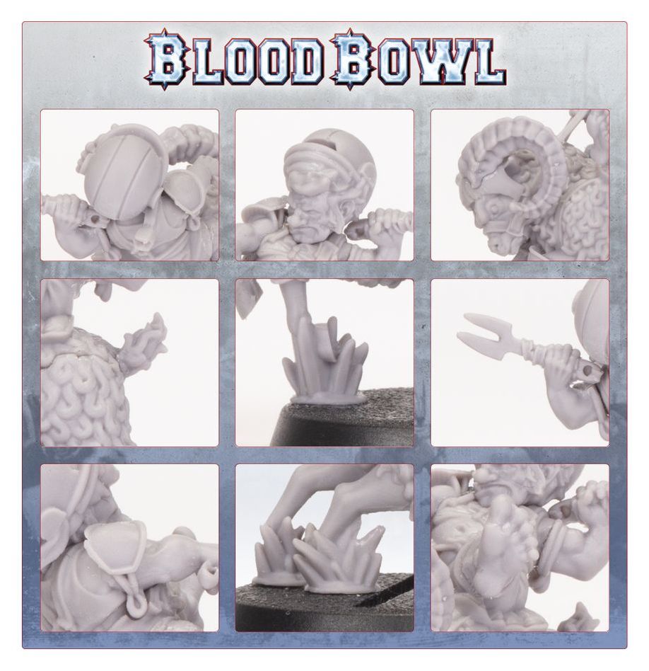 WARHAMAMER BLOOD BOWL: RUMBELOW SHEEPSKIN-1709394565-482n9.jpg