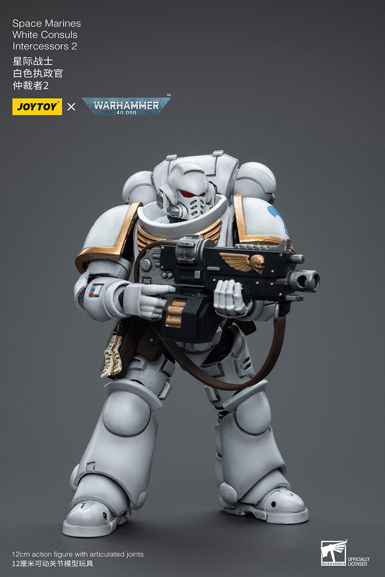 (JOYTOY) Space Marines White Consuls Intercessors 2 JT6854-1727960403-tNqB6.jpg