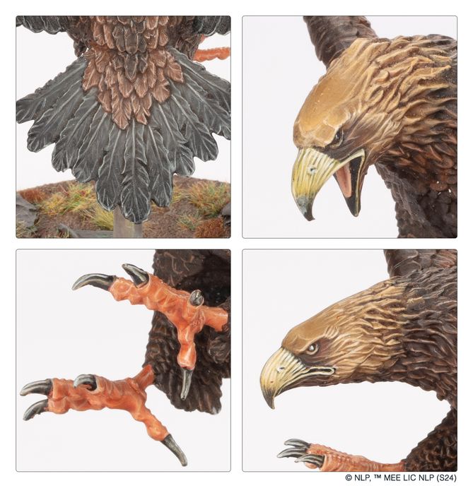 (GW) MIDDLE-EARTH : Great Eagles of the Misty Mountains-1733472345-8LBeR.jpg