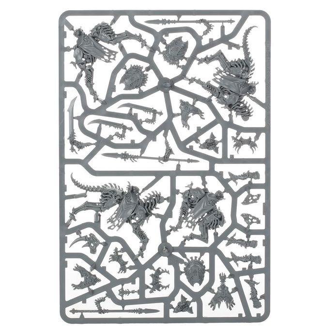 WARHAMMER AOS SPEARHEAD: OSSIARCH BONEREAPERS-1748433695-e4XGU.jpg